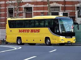 hatobus